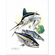 "White Marlin Open" Sponsor Art